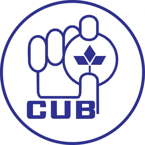 CUB Credit Card
