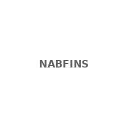 NABFINS